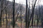 Atrakcje turystyczne