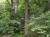 Agroturystyka