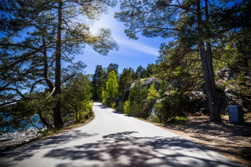 Lookout Road